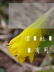 借錢起訴要哪些手續(xù)和證件（借錢起訴有用么）