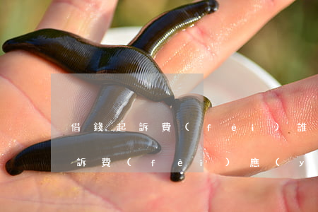 借錢起訴費(fèi)誰出(起訴借錢的人起訴費(fèi)應(yīng)該是誰付?)