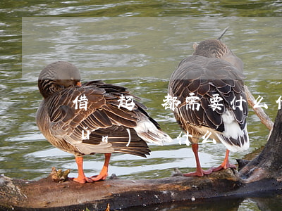 借錢起訴都需要什么(借錢起訴需要準(zhǔn)備什么)