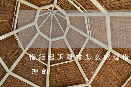 借錢起訴離婚怎么處理(借錢起訴離婚怎么處理的)