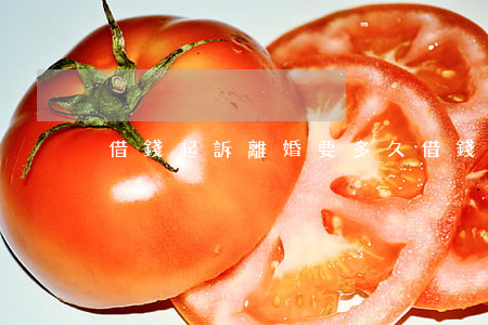 借錢起訴離婚要多久(借錢離婚后怎么處理)