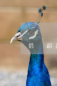 借錢超出多久還能起訴(借錢超過多久不用還錢)