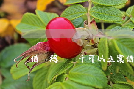 借錢超過幾千可以立案（借錢超過1000起訴）