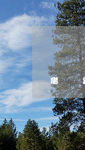 借錢跑了起訴有效嗎