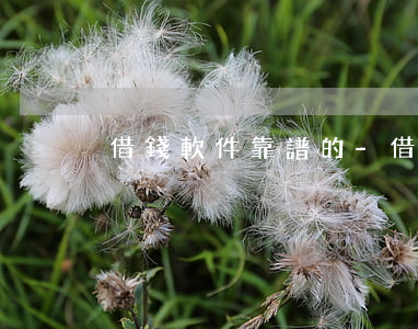 借錢軟件靠譜的-借錢可靠軟件