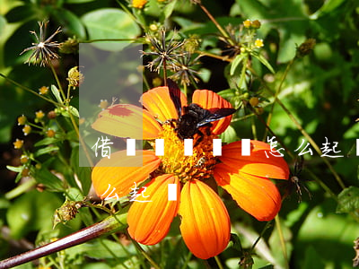 借錢轉賬記錄怎么起訴別人（借錢轉賬記錄怎么起訴）