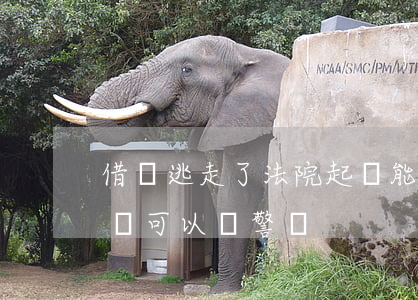 借錢逃走了法院起訴能抓回來嗎(借錢逃走不還可以報警嗎)