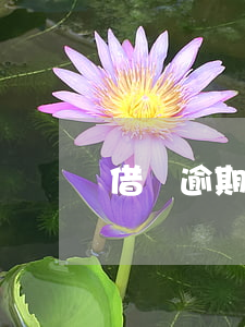 借錢逾期不還多久可以起訴