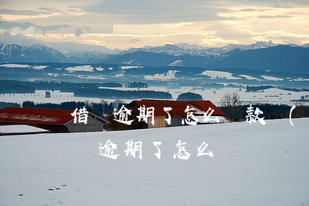 借錢逾期了怎么還款(網(wǎng)上借的錢逾期了怎么還)