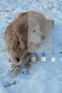 借錢逾期多久被起訴(借錢逾期多少會被起訴)