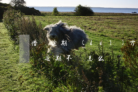 借錢逾期對(duì)方起訴怎么辦(別人借錢逾期不還怎么辦)