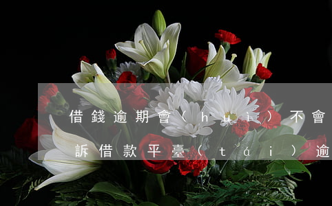 借錢逾期會(huì)不會(huì)被起訴(借款平臺(tái)逾期多少錢會(huì)被起訴)