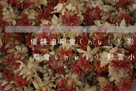 借錢逾期會(huì)影響小孩嗎-借錢逾期會(huì)影響小孩嗎