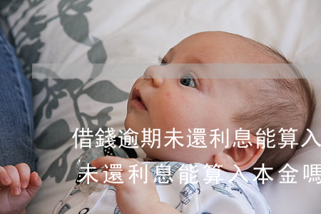 借錢逾期未還利息能算入本金嗎-借錢逾期未還利息能算入本金嗎合法嗎