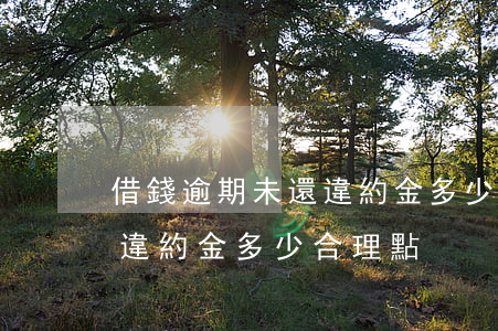 借錢逾期未還違約金多少合理(借錢逾期未還違約金多少合理點)
