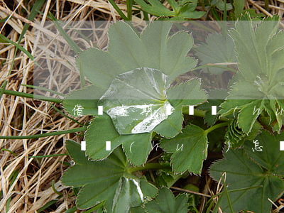 借錢逾期沒還會(huì)怎樣 借錢逾期沒還會(huì)怎樣