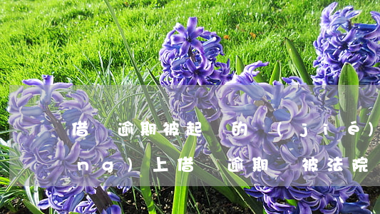 借錢逾期被起訴的結(jié)果(網(wǎng)上借錢逾期會被法院)