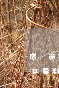 借錢逾期起訴可以要利息嗎(借錢逾期起訴可以要利息嗎)