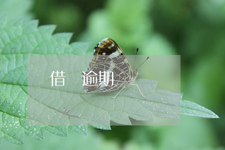 借錢逾期還