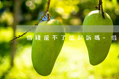 借錢還不了能起訴嗎-借錢還不了會坐牢嗎