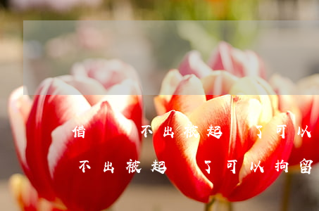 借錢還不出被起訴了可以拘留幾年-借錢還不出被起訴了可以拘留幾年嗎