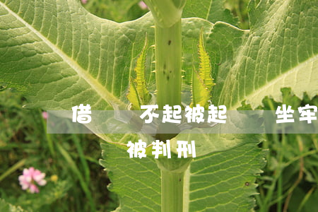 借錢還不起被起訴會坐牢嗎(借錢還不上被起訴會被判刑嗎)
