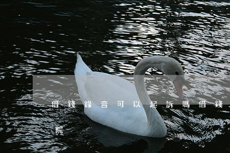 借錢錄音可以起訴嗎(借錢錄音可以起訴嗎法院)