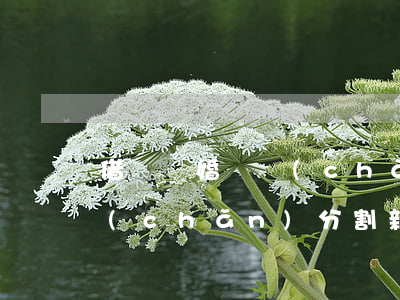 借錢離婚財產(chǎn)分配(婚姻法財產(chǎn)分割新規(guī)定借錢要一起還嗎)