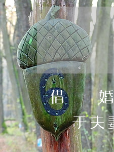 借錢離婚財產(chǎn)歸誰(離婚借的錢屬于夫妻共同財產(chǎn)嗎)