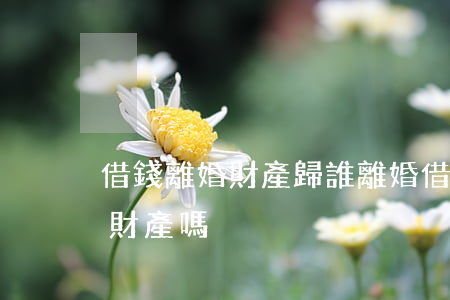 借錢離婚財產歸誰(離婚借的錢屬于夫妻共同財產嗎)