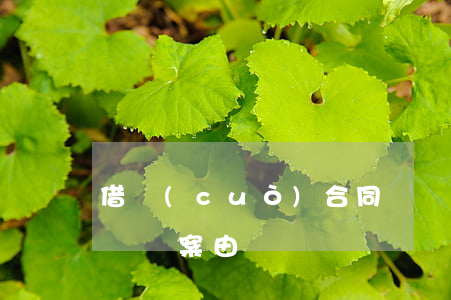 借錯(cuò)合同糾紛如何處理(借用合同糾紛案由)