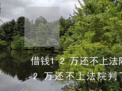 借钱12万还不上法院判了怎么办-借钱12万还不上法院判了怎么办呢