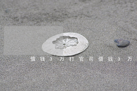 借钱3万打官司(借钱3万打官司)