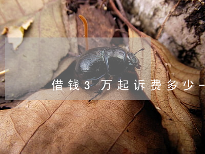 借钱3万起诉费多少-借三万块钱不还起诉