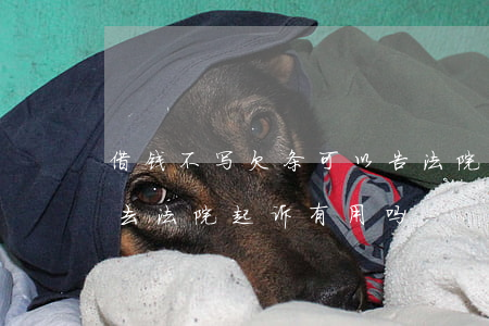 借钱不写欠条可以告法院吗(欠钱有欠条不还去法院起诉有用吗)