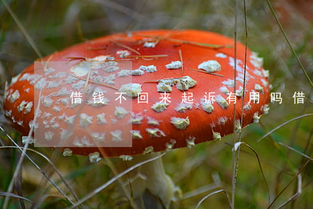 借钱不回来起诉有用吗(借钱要不回来了)