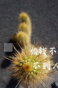 借钱不还 人也联系不到了怎么办(借钱不还找不到人)