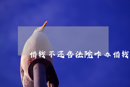 借钱不还告法院咋办(借钱不还告法院咋办)