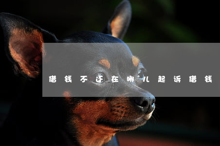 借钱不还在哪儿起诉(借钱不还在哪儿起诉)