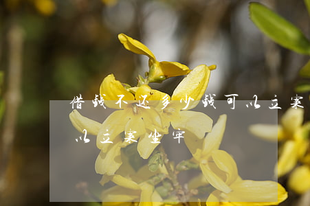 借钱不还多少钱可以立案(借钱不还多少钱可以立案坐牢)