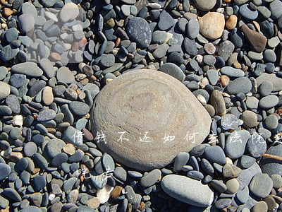 借钱不还如何去法院起诉（借钱不还怎么去法院告）