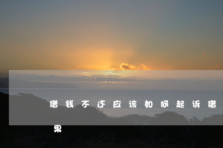 借钱不还应该如何起诉(借钱不还如何起诉后果)