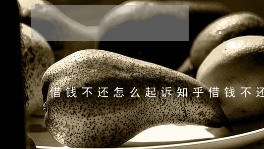 借钱不还怎么起诉知乎(借钱不还,怎么起诉)