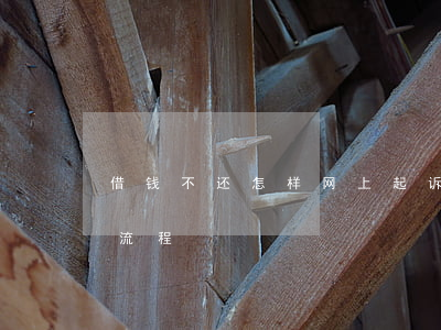 借钱不还怎样网上起诉-借款不还网上起诉流程