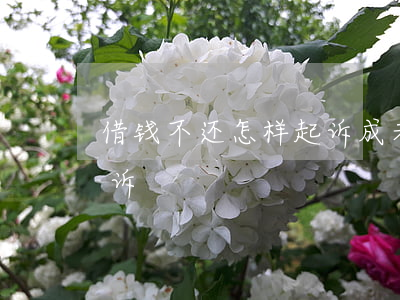 借钱不还怎样起诉成老赖（借钱不还的怎样起诉）