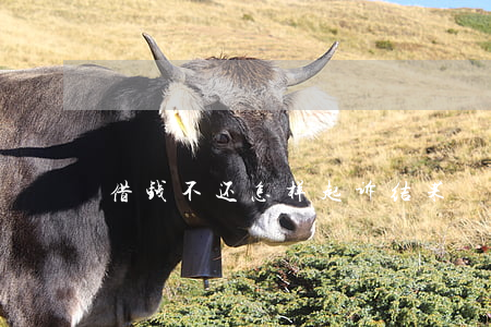 借钱不还怎样起诉结果