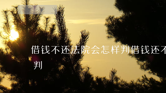 借钱不还法院会怎样判(借钱还不起法院怎么判)