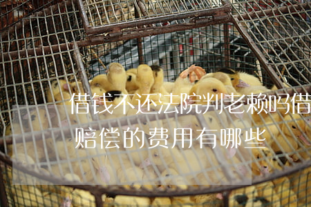 借钱不还法院判老赖吗(借钱不还的老赖,应该赔偿的费用有哪些)