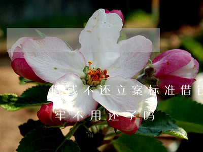借钱不还立案标准(借钱不还立案标准起诉坐牢不用还了吗?)