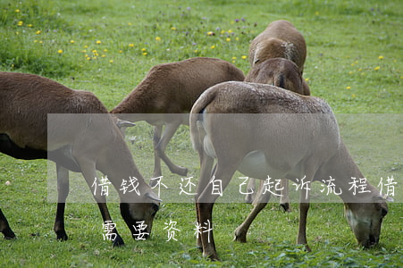 借钱不还自己起诉流程(借钱不还起诉流程和需要资料)
